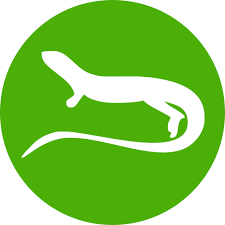 Anlix Logo